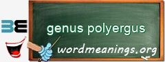 WordMeaning blackboard for genus polyergus